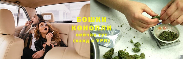 ALPHA PVP Краснослободск