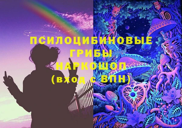 ALPHA PVP Краснослободск