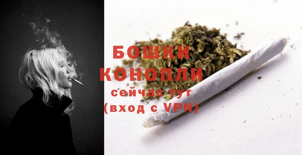 ALPHA PVP Краснослободск