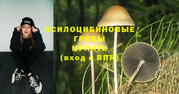 соль курить ск Краснотурьинск