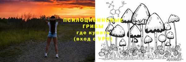 ALPHA PVP Краснослободск